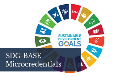 sdg badge button with multi-colored wheel of sustainable development goals